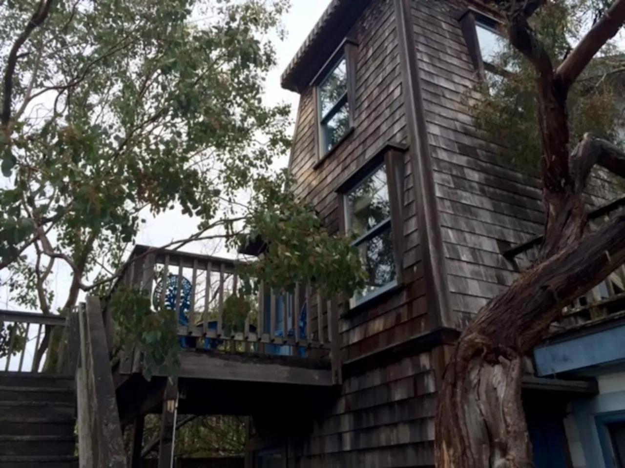 מנדוסינו Didjeridoo Dreamtime Inn מראה חיצוני תמונה